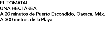 EL TOMATAL UNA HECTÁREA A 20 minutos de Puerto Escondido, Oaxaca, Méx. A 300 metros de la Playa
